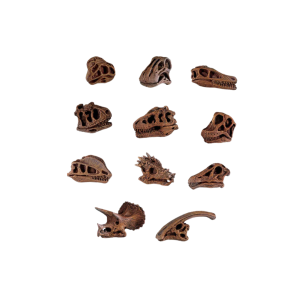 Cráneos de dinosaurios