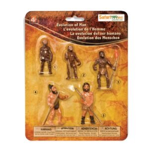 Evolución del hombre