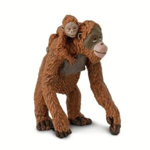 Orangután con bebé